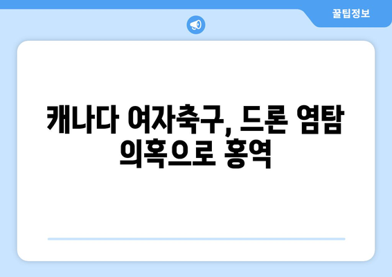 캐나다 여자축구 파동: 드론 염탐 의혹으로 감독 출장 정지, 직원 귀국