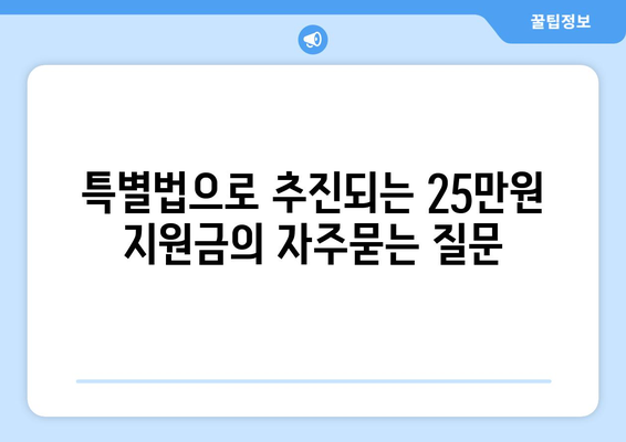 특별법으로 추진되는 25만원 지원금