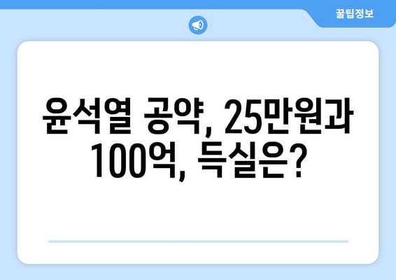 윤석열 1인당 25만원? 100억씩 주지