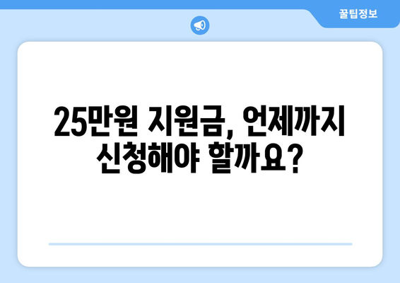 민생지원금 25만원 신청 대상 및 자격 확인