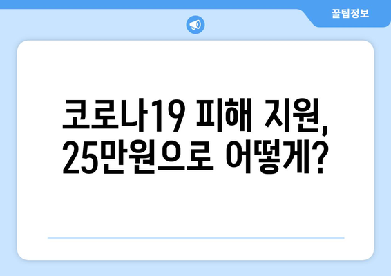 코로나19로 인한 재정적 손실 지원: 25만원 민생지원금