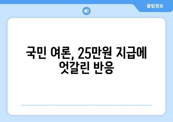 국민 반발, 전국민 25만원 지급 반대 의견 과반수