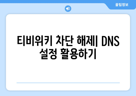 DNS 설정 변경으로 티비위키 주소 우회 접속 쉽게하기