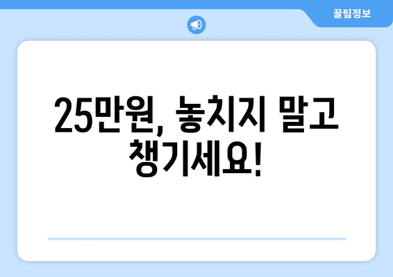 민생회복지원금 1인당 25만원 지급 확정