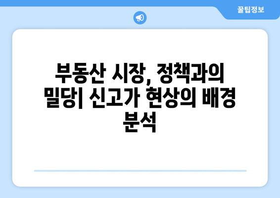 정부 부동산 정책 발표 후 시장 심리 변화: 신고가 현상의 원인