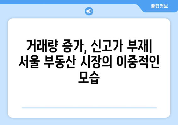 서울 부동산 시장의 이중성: 거래량 증가와 신고가 부재