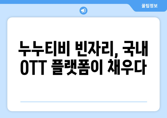 누누티비 폐쇄 후 국내 OTT 이용자 증가