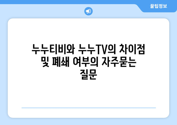 누누티비와 누누TV의 차이점 및 폐쇄 여부