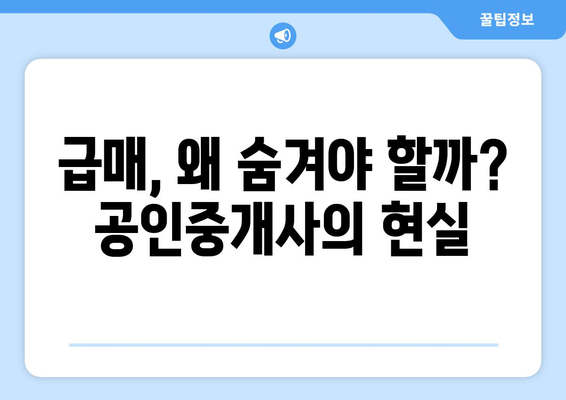 급매 물건 논란과 공인중개사 인권: 얼굴 공개의 문제점