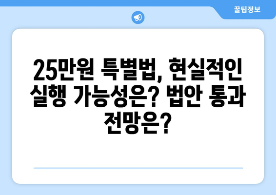 25만 원 지원금 특별법: 실행 가능성과 논쟁