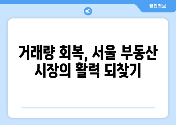 서울 부동산 시장 양극화 해소: 거래량과 가격 안정화 방안