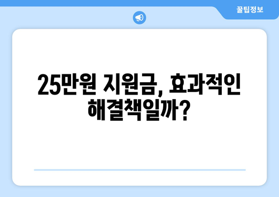 이재명의 25만원 민생지원금 반대 이유