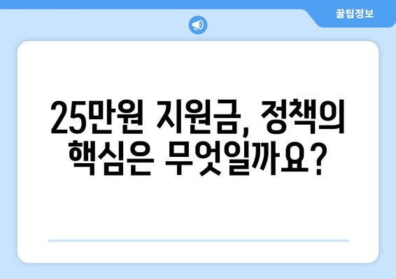 특별법으로 추진되는 25만원 지원금