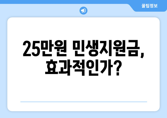 25만원 민생지원금의 실효성에 대한 분석