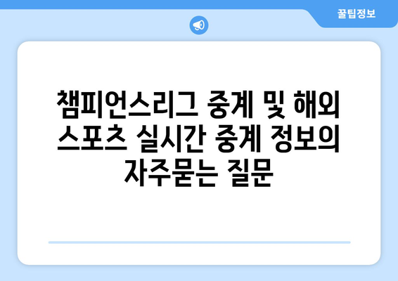 챔피언스리그 중계 및 해외 스포츠 실시간 중계 정보