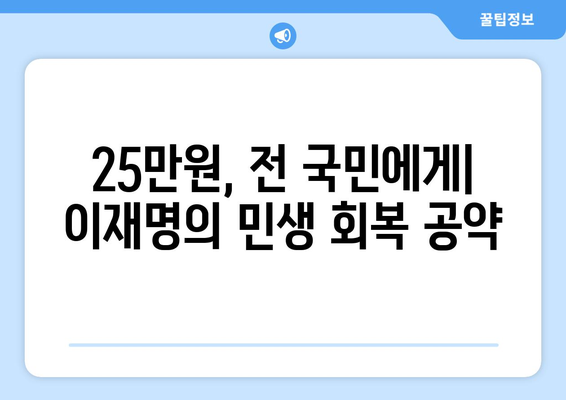 이재명 민생회복지원금: 전국민 25만원 제안