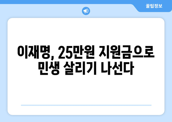 이재명의 민생 회복 지원금 25만 원 지급 제안