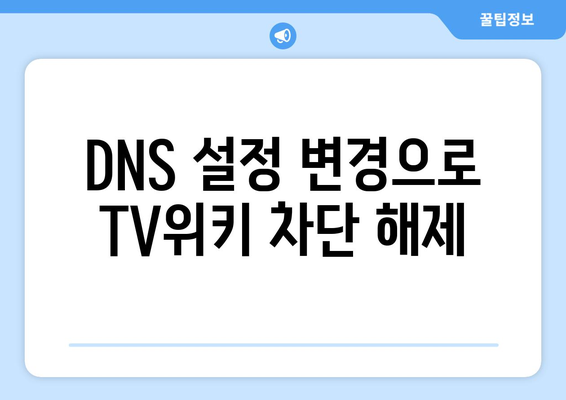 TV위키에 안전하게 접속하기 위한 DNS 설정 변경 방법