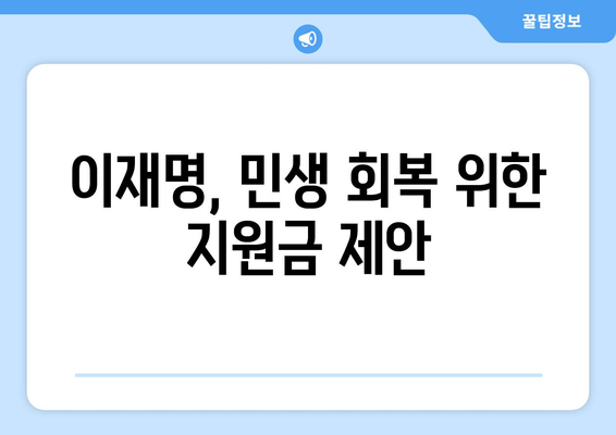 이재명, 경제 상황을 고려한 민생회복지원금 제안