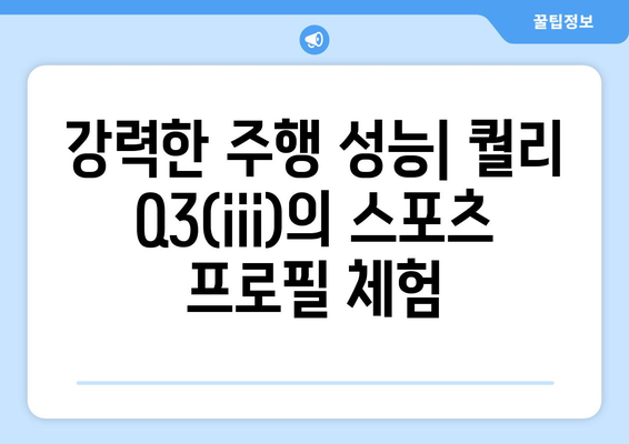 노블티비: 퀄리 Q3(iii) 스포츠프로필 전기자전거 리뷰