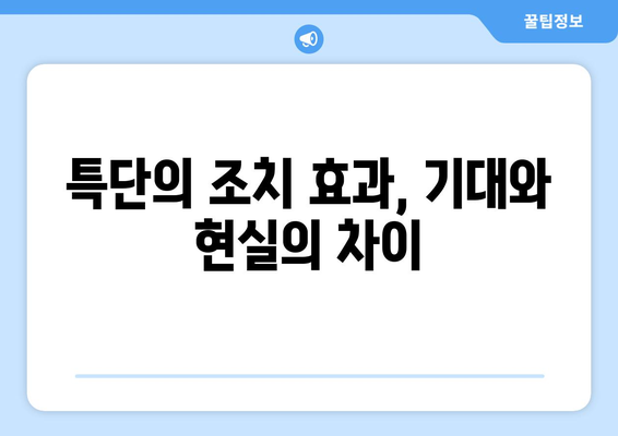 특단의 조치 이후 부동산 시장 반응: 신고가 속출의 의미