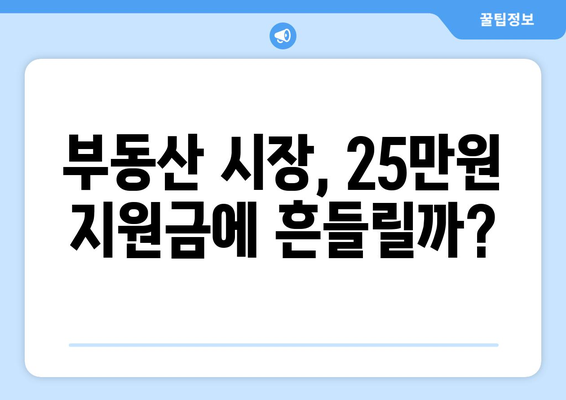 25만 원 민생복지 지원금: 화폐가치와 부동산 가치에 미치는 영향