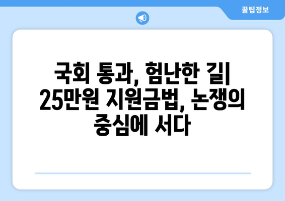 이재명의 25만 원 전국민 지원금법: 통과 과정과 논란