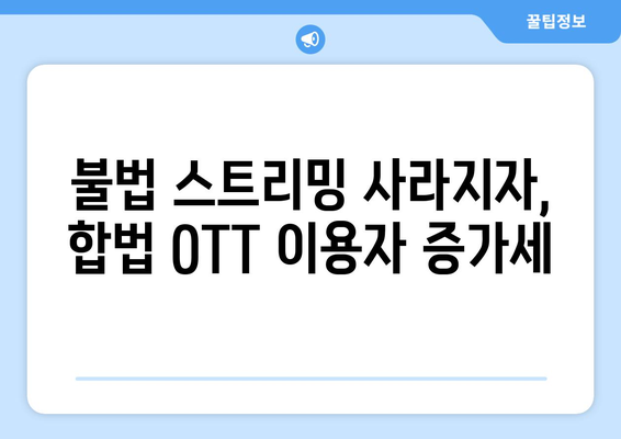 누누티비 폐쇄 후 국내 OTT 이용자 증가