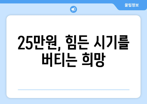 25만원 민생 희망지원금: 백성을 위한 지지대