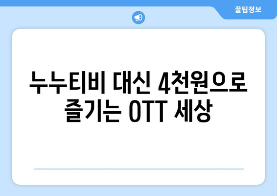 누누티비 대신 4천원으로 OTT 구독하기