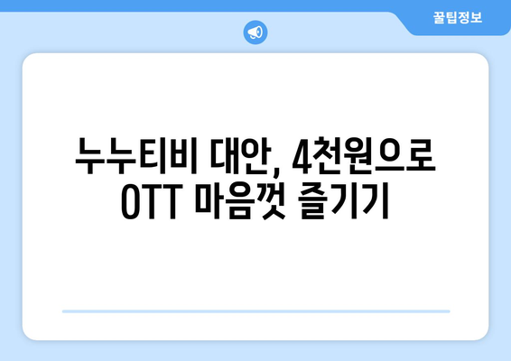 누누티비 대신 4천원으로 OTT 구독하기