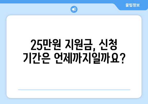 이재명 민생 지원금 25만원 신청 방법 가이드