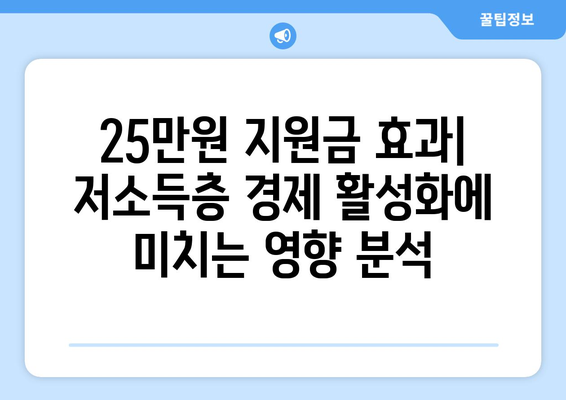 저소득층을 위한 세수 감면 대비 25만원 지원금: 어느 것이 더 효과적인가?