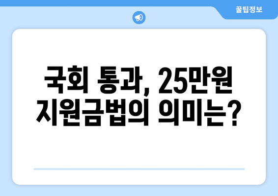 이재명의 25만 원 지원금법, 국회 통과