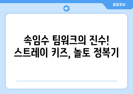 놀토! 스트레이 키즈의 폭로전과 속임수 팀워크