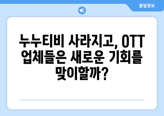 누누티비 폐쇄: OTT 산업에 미치는 경제적 영향