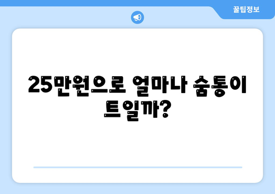 전국민에게 25만원 지급: 민생고통 완화책