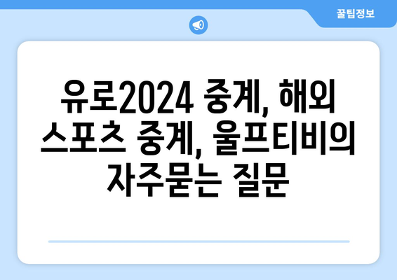 유로2024 중계, 해외 스포츠 중계, 울프티비