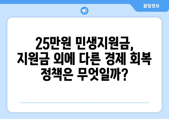 코로나19로부터 경제 회복에 도움이 되는 25만원 민생지원금