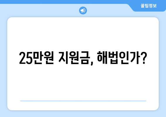 윤석열 경제 실정에 따른 이재명의 25만원 민생 지원금 제안