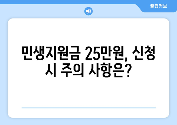 민생지원금 25만원 신청 대상 및 자격 확인