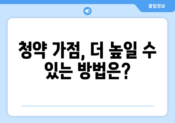 주택 청약 가점제 계산기: 2024년 개정사항 반영 버전