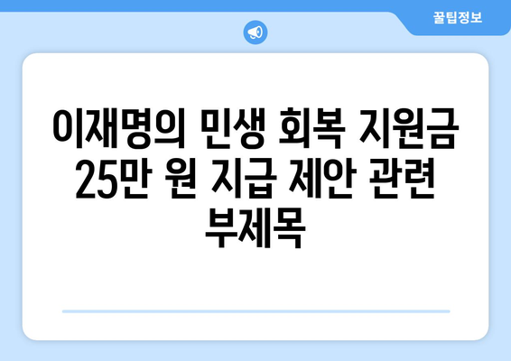 이재명의 민생 회복 지원금 25만 원 지급 제안