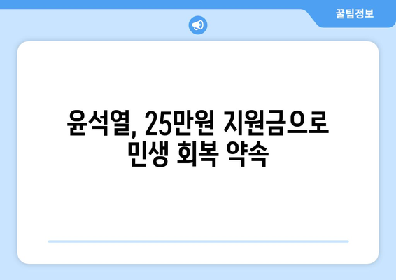 윤석열의 25만원 민생 회복 지원금 제안 배경