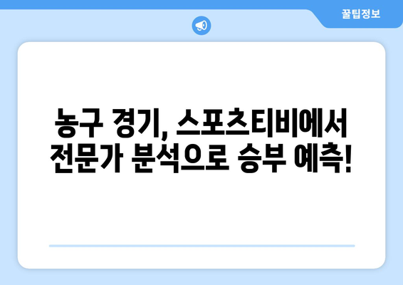 스포츠티비에서 농구 경기 전, 중계, 후 분석까지 만나다