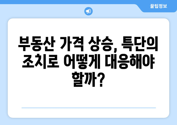 특단의 조치와 부동산 가격 상승: 2024년 시장 분석