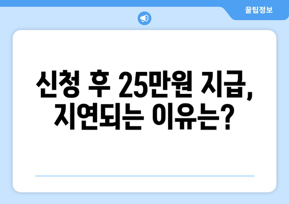 민생회복지원금 신청 후 25만원 지급까지 기다림 시간