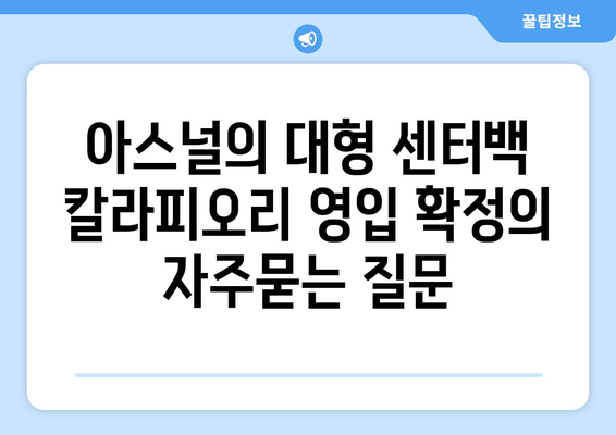 아스널의 대형 센터백 칼라피오리 영입 확정