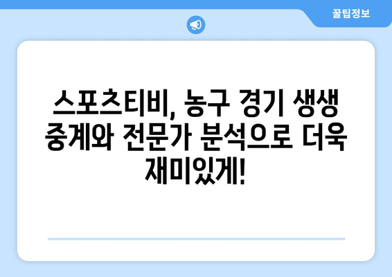 스포츠티비에서 농구 경기 전, 중계, 후 분석까지 만나다