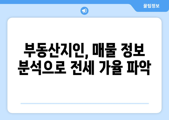 부동산지인 사용법: 전세 가율 파악하기